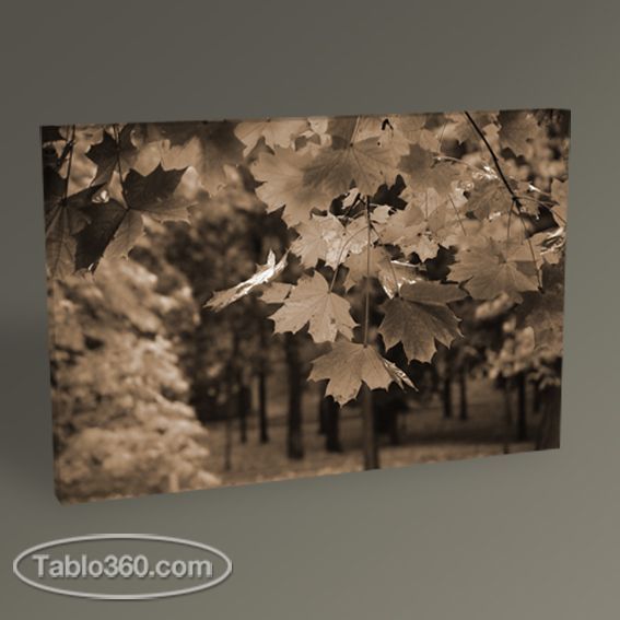 Sonbahar Yaprakları Tablo