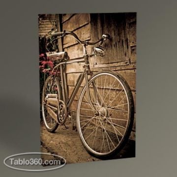 Bisiklet Tablo