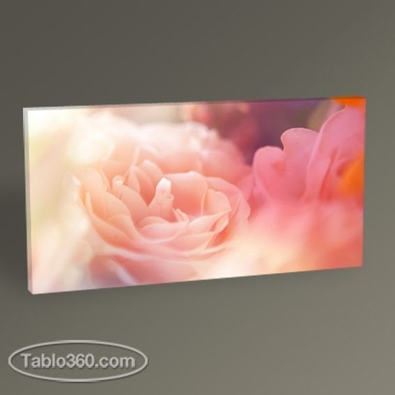 Beautiful Flowers Tablo