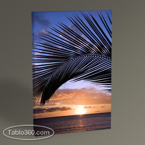 Gün Batımı ve Palmiye Yaprakları Tablo
