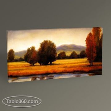 Ormanda Gün Batımı II Tablo