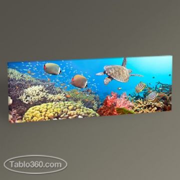 Sualtı Panoroma Tablo