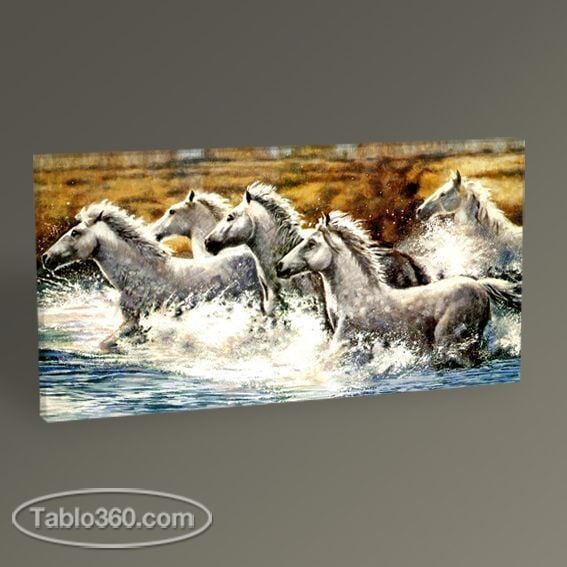 Beyaz Atlar Tablo