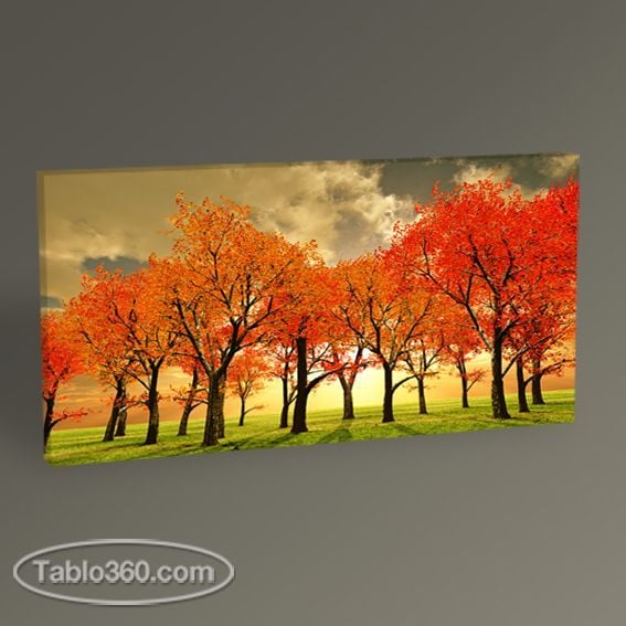 Beautiful Autumn Tablo