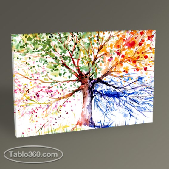 Renkli Ağaç