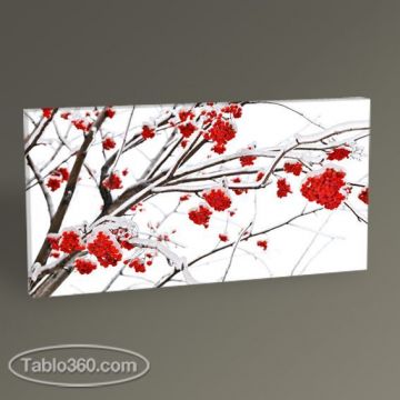 Branches of Ash Tablo