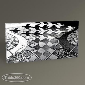 MC Escher Day and Night