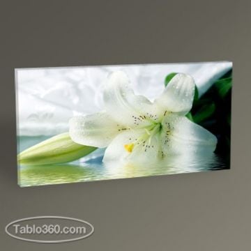 Beyaz Lily Tablo