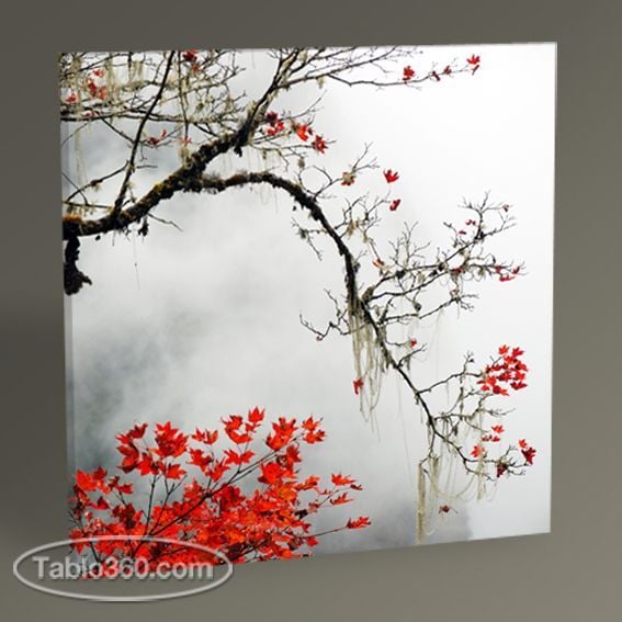 Sonbahar Zamanı Tablo