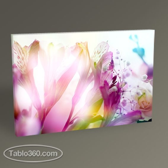 Beautiful Flowers Tablo