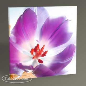 Bahar Çiçeği Tablo