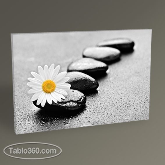 Papatya ve Taşlar Tablo