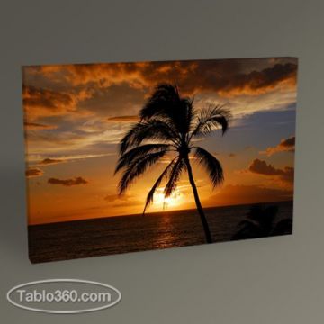 Palm and Sunset Tablo