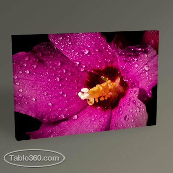 Wet Purple Flower Tablo
