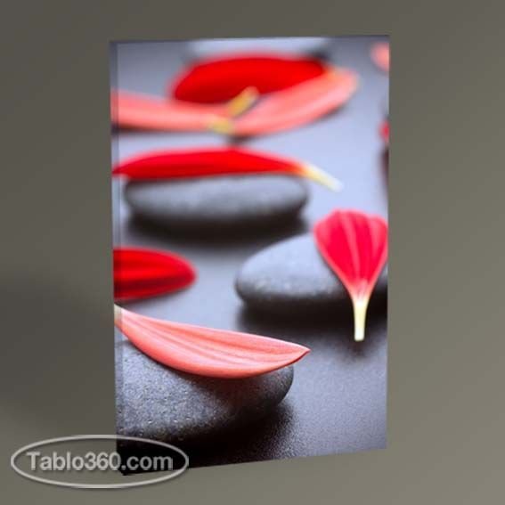 Siyah Taş ve Kırmızı Yapraklar