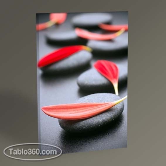 Siyah Taş ve Kırmızı Yapraklar II