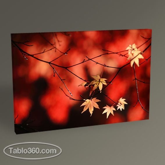 Sonbaharda Yapraklar Tablo