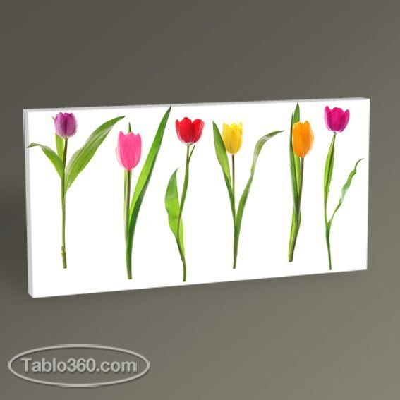 Renkli Bahar Laleleri II Tablo