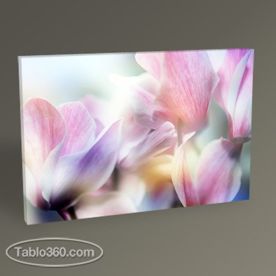 Beautiful Flowers Tablo