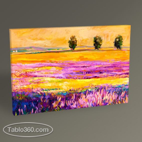 Lavanta Tarlası Tablo