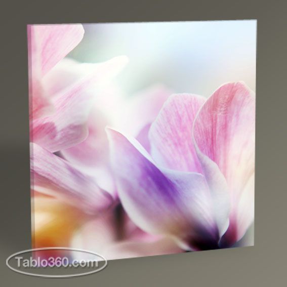 Beautiful Flowers Tablo