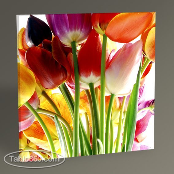 Güzel Bahar Çiçekleri Tablo