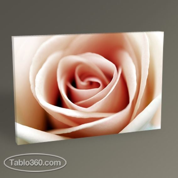 Pink Rose Tablo
