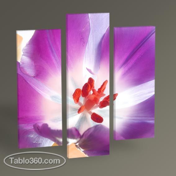 Bahar Çiçeği Tablo