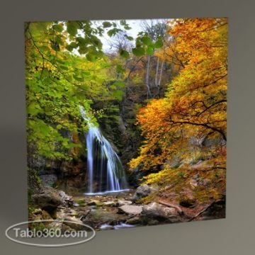 Waterfall in the Autumn