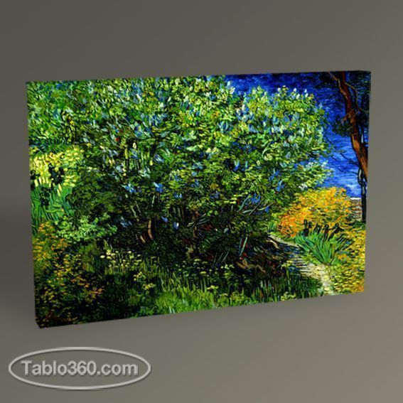 Vincent Van Gogh Leylaklar Tablo