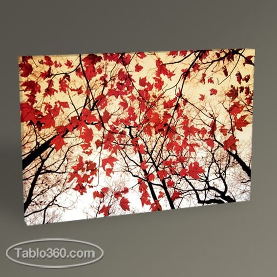 Red Maple Leaves Tablo