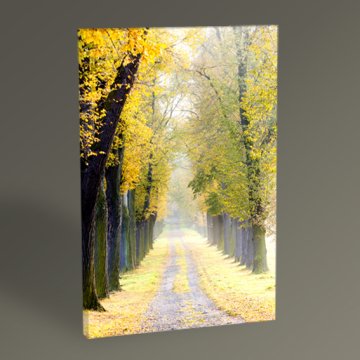 Ağaçlı Yol II Tablo