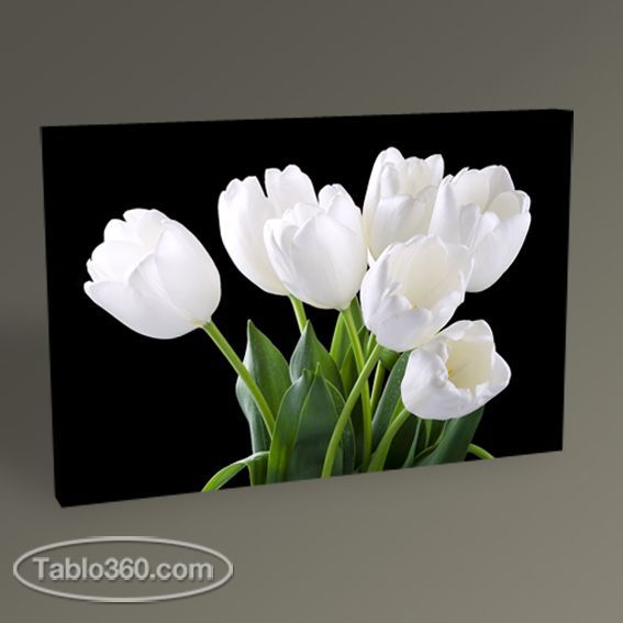 Beyaz Laleler Tablo