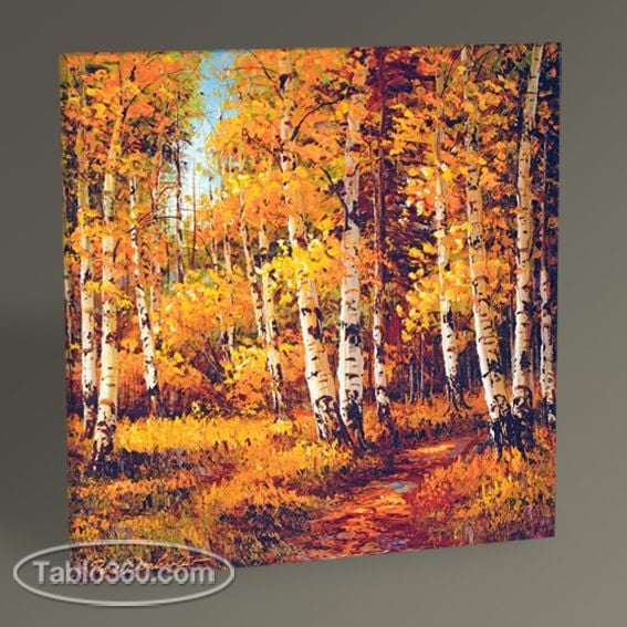 Orman Manzarası Tablo
