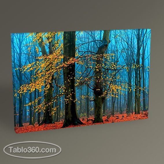 Mavi Orman Tablo