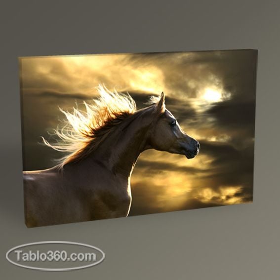 White Horse Tablo