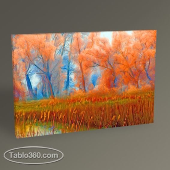 Orman Peyzajı Tablo