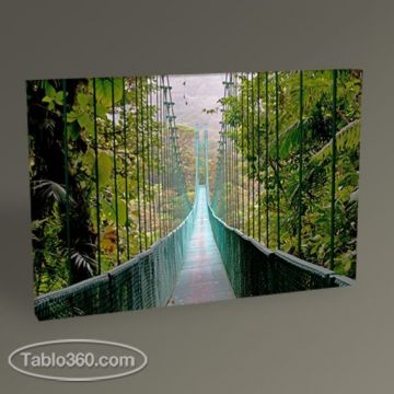 Asma Köprü II Tablo