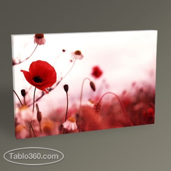 Poppy Field Tablo