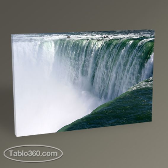 Niagara Şelalesi Tablo