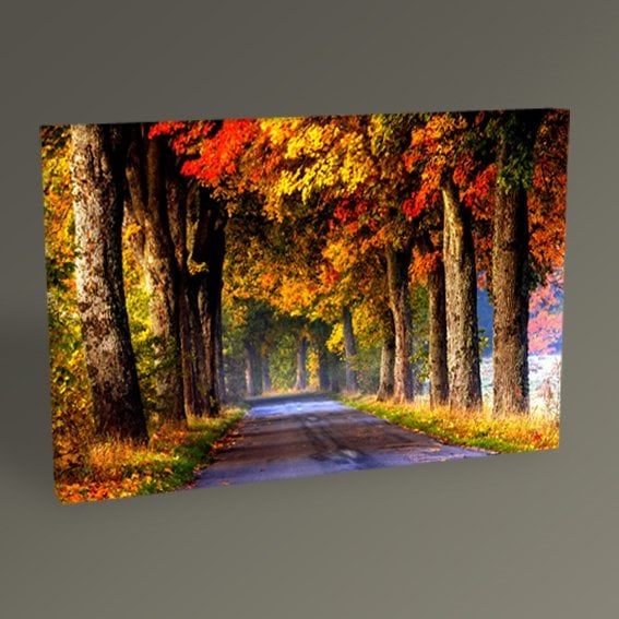 Autumn Road Tablo