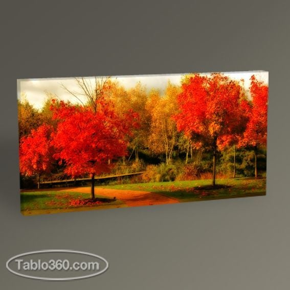 Sonbahar Renkleri Tablo