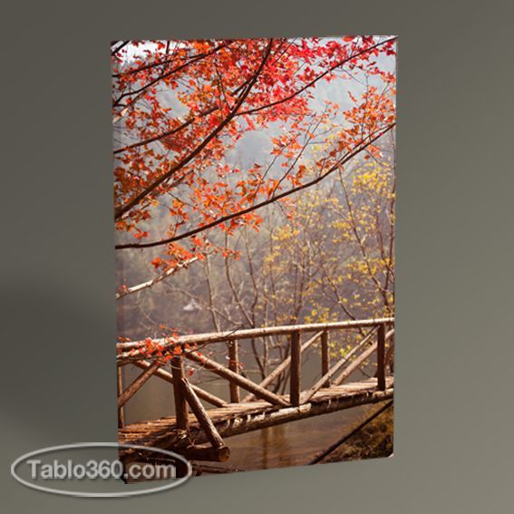 Ormanda Ahşap Köprü Tablo