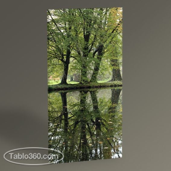 Göl Yansıması II Tablo