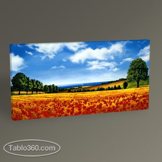 Prospettive Sul Mare