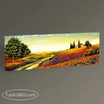 Morning in the Valley