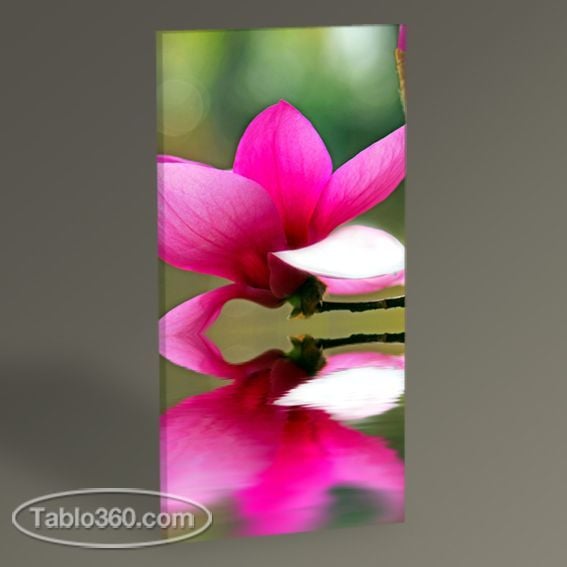 Blossom Over Pond Tablo