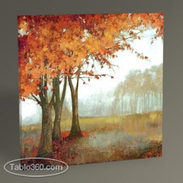 A Sense of Space Tablo