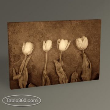 Antique Tulips Tablo