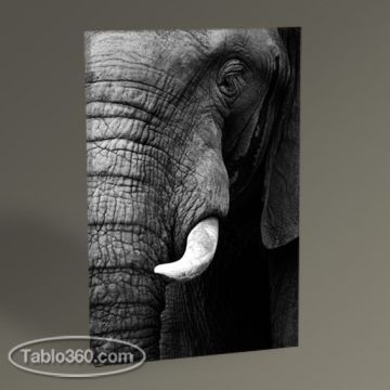 Elephant Tablo